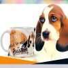 Basset Hound