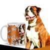 Boxer