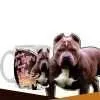 Bully