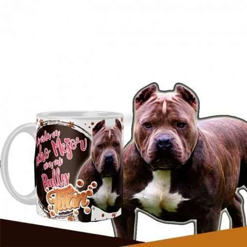 Bully