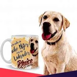 Labrador