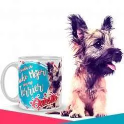 Terrier