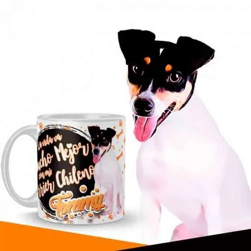 Terrier Chileno