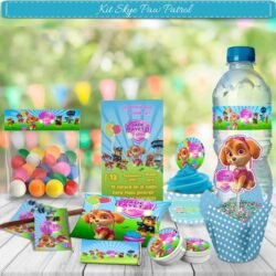 Kit Imprimible Skye Paw Patrol