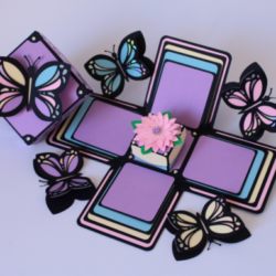 Caja explosiva de mariposa modelo 3D