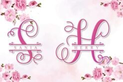 Alina-Monogram-Fonts-10724142-2-580x387