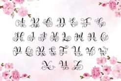 Alina-Monogram-Fonts-10724142-5-580x387