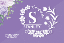 Stanley Fuente