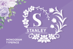 Stanley Fuente