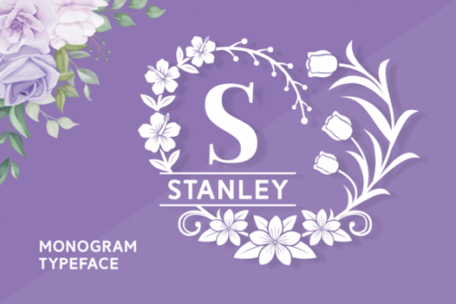 Stanley-Fonts-52046779-1-1-580x387